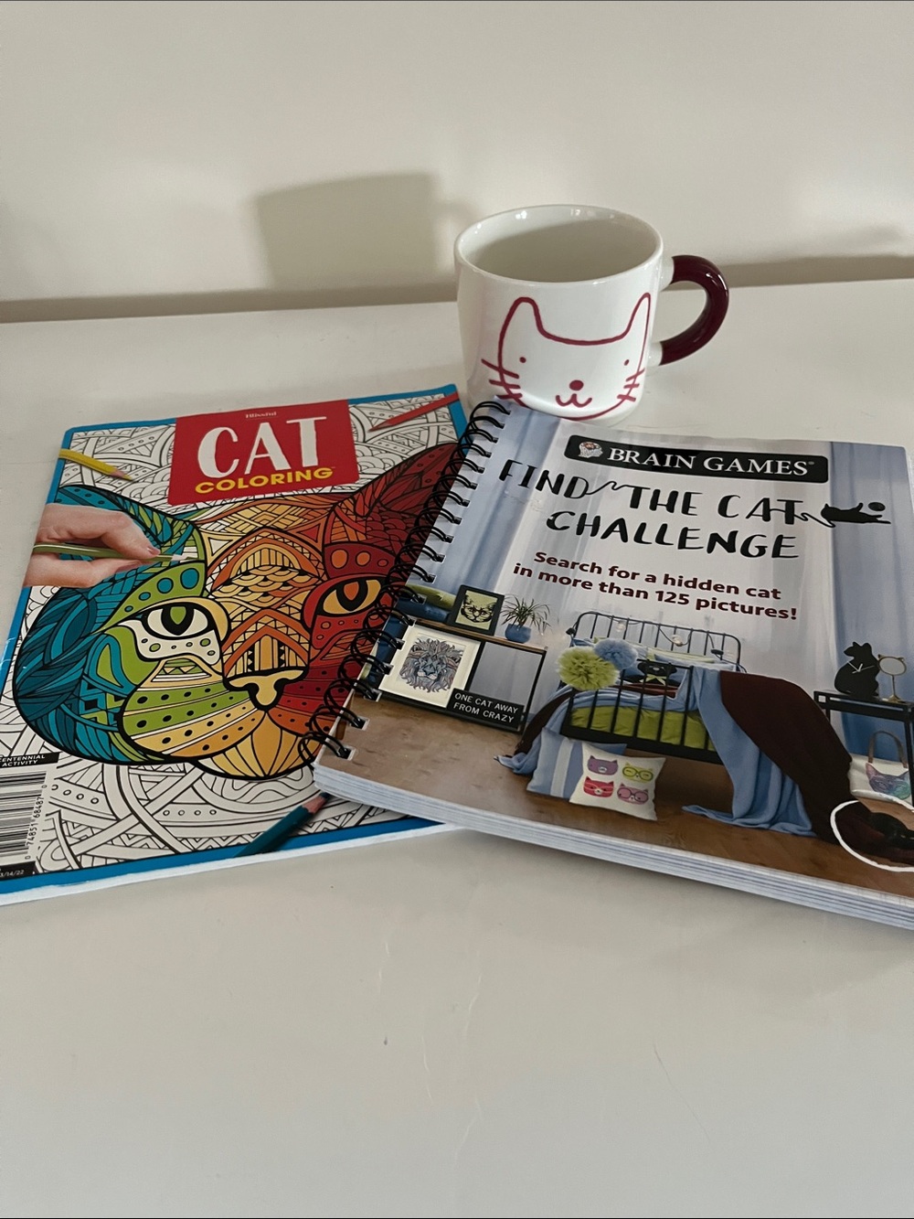 White Ceramic Cat Mug plus Cat Coloring Book and Find the Cat Challenge Book
